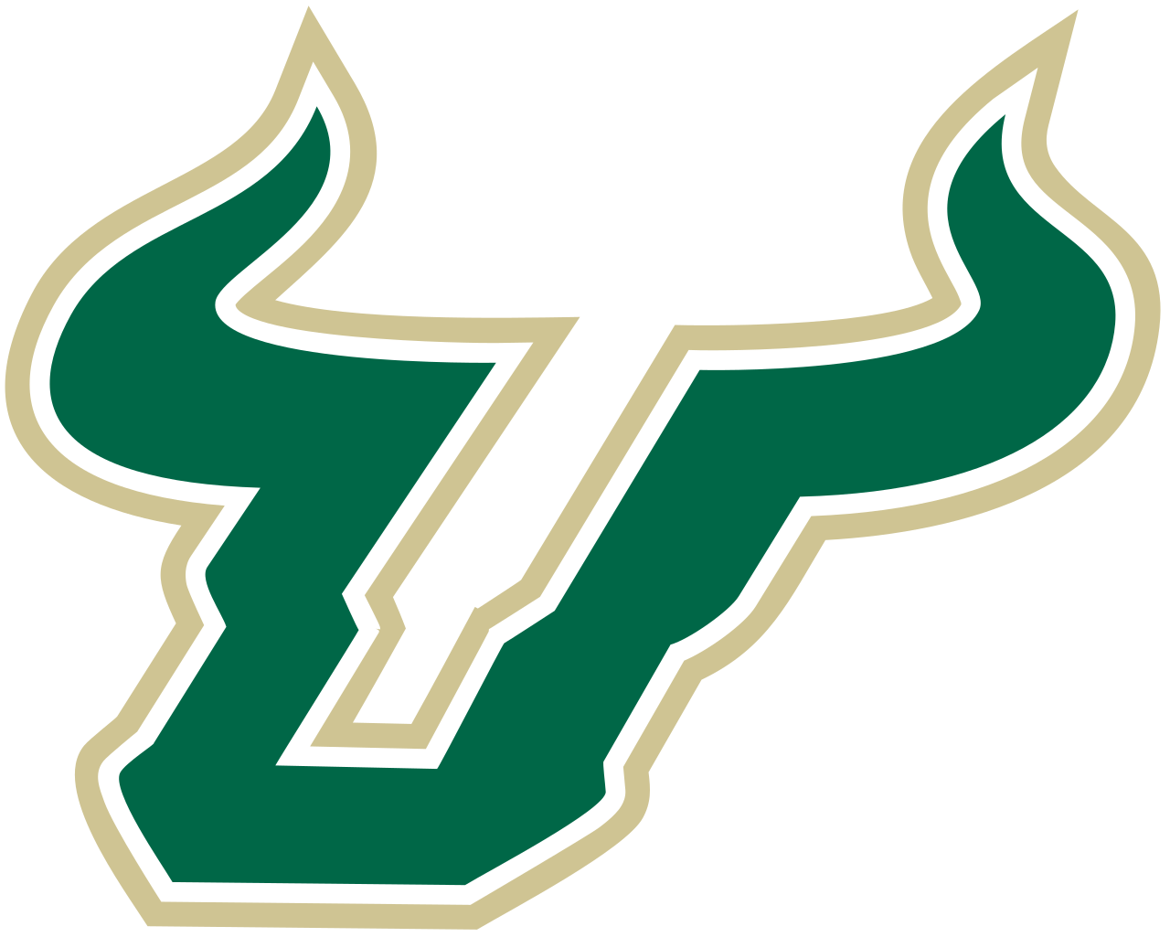 University of South Florida